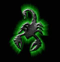 green scorpion pic 2