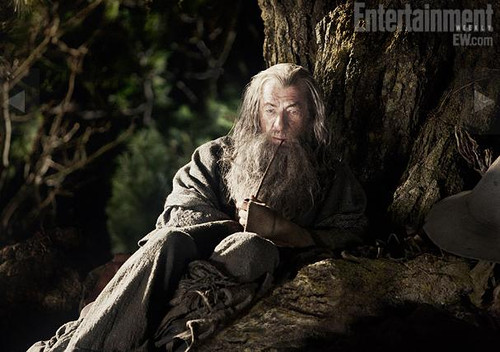 Pictures from the Hobbit Movie!!