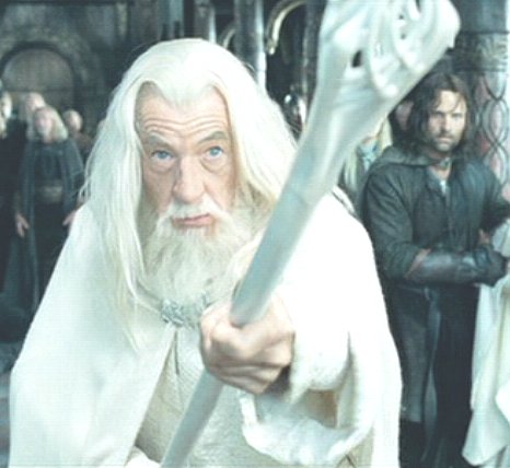 The Fellowship Gandalf