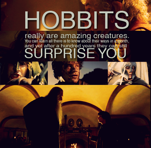 about hobbits