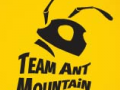 Team Ant Mountain