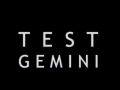 Test Gemini Dev Team