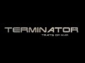 Terminator mod {MEN OF WAR}