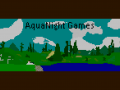 Aqua Night Games