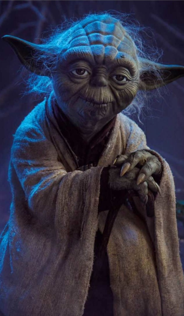 a Yoda puppet