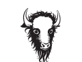 Bison Kings