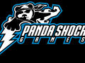 PandaShock Games