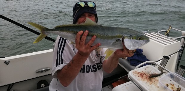 Kingfish [was released after pic].