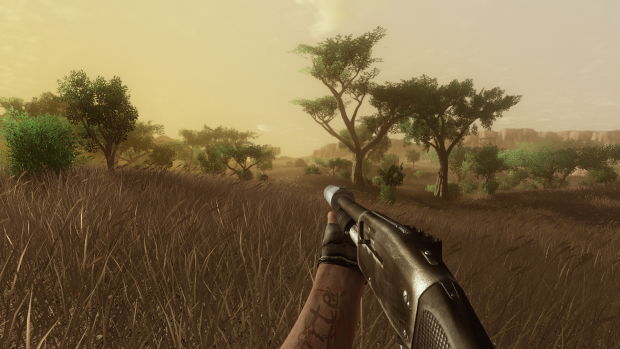 Far cry 2 looks beautiful