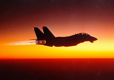 IRIAF F-14Tomcat