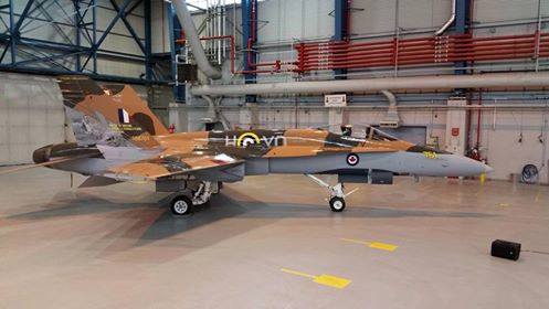 Aussie Hornet looking really good.