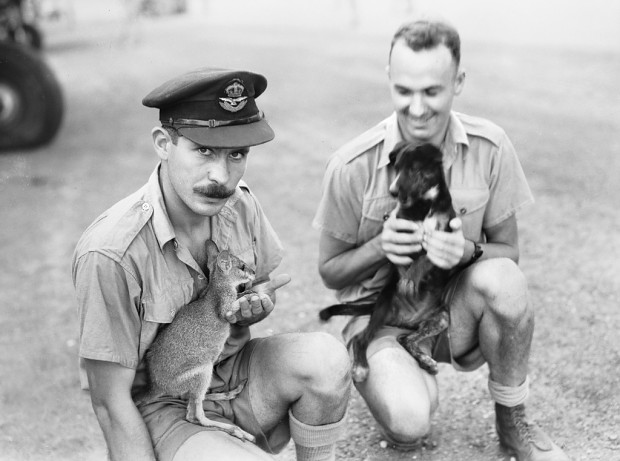 RAAF Pilots