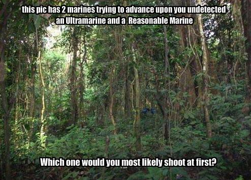 Who would you shoot first.