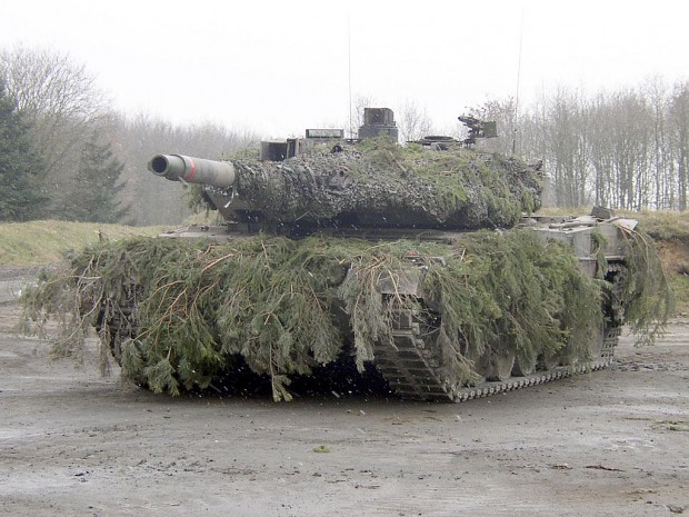 Leopard 2A6 pine cloak during autumn/Winter