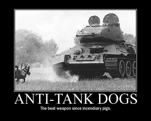 Here are some real anti tank dogs