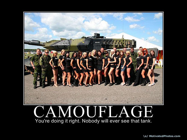 Camouflage - You're doing it right