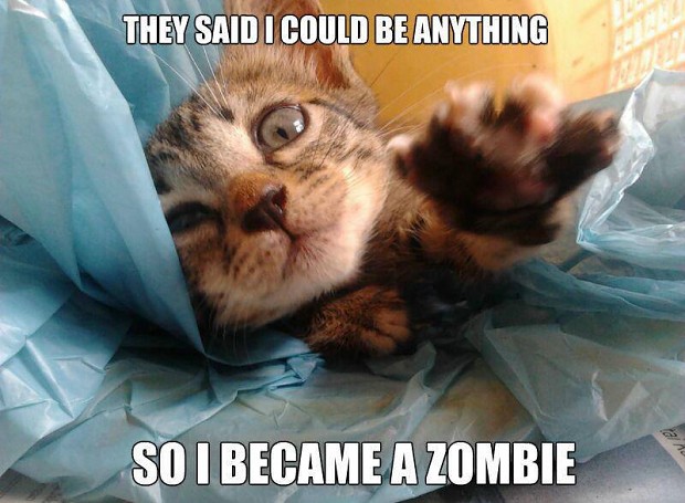 Zombie kitty. =S =D =P XD