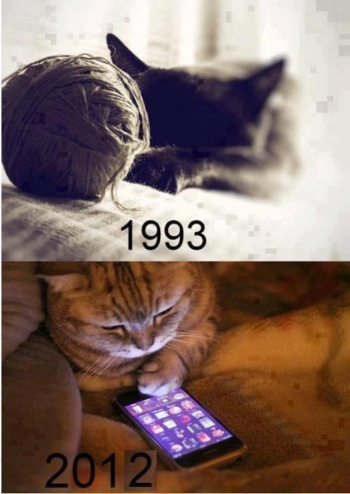 Cats were evuluated as technology =D =P XD