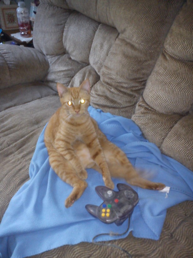 He Plays N64 As Well.