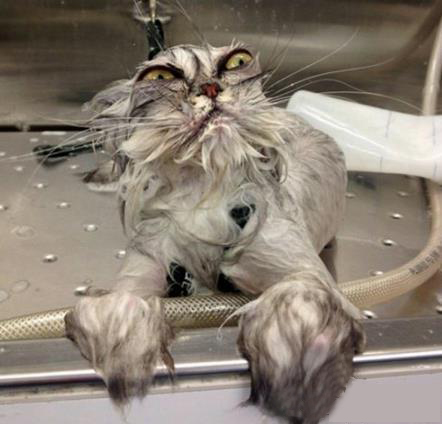 I hate having bath!