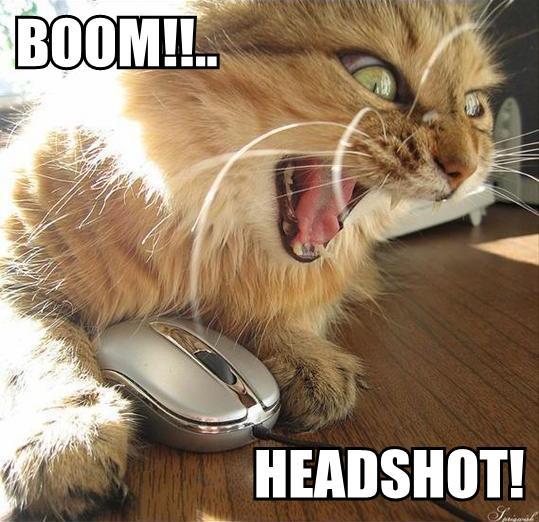 Cat makes Headshot