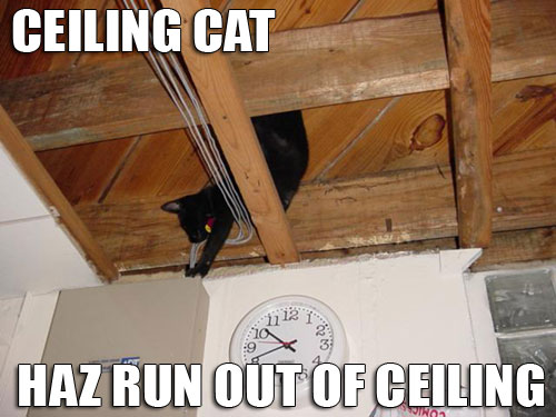 Ceiling Cat Ceiling
