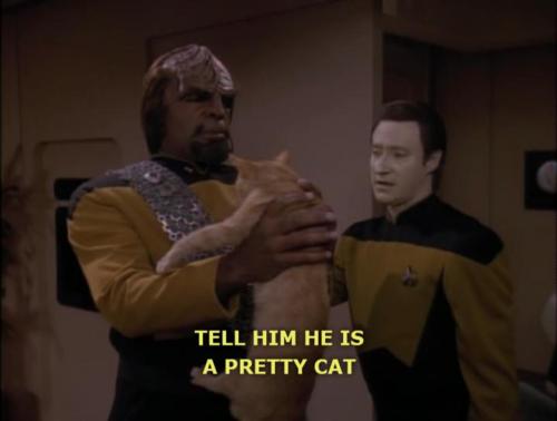 Star Trek TNG: Data's cat, Spot.