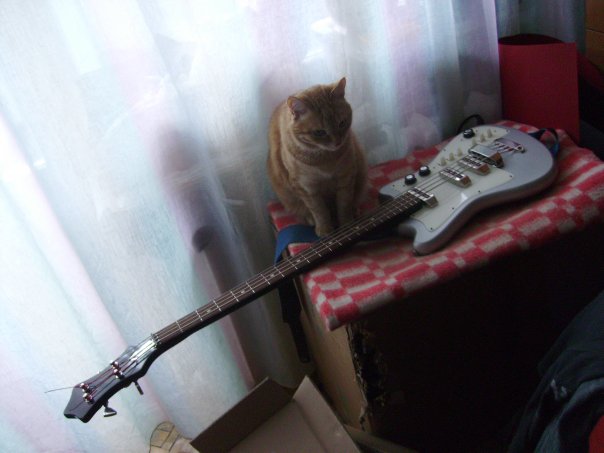 My bass-cat ^^