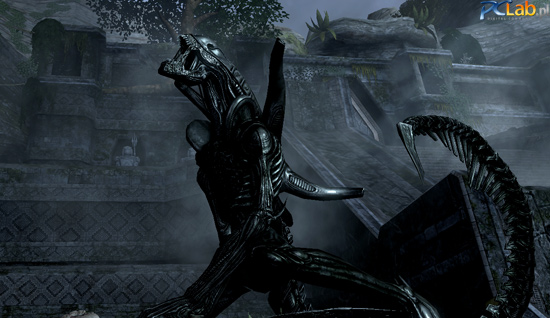 AvP3.. image - Aliens vs Predator Source - Mod DB