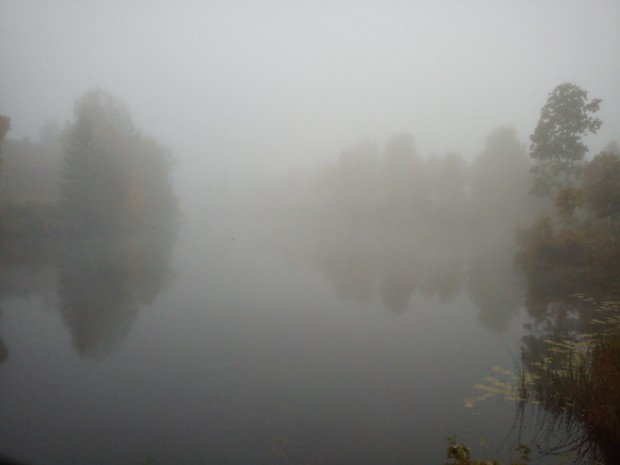 Sweden / Autumn / 2013