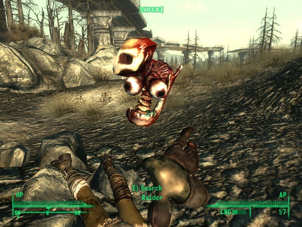 Fallout 3 Funny Bug by Half_Dude