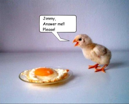Hey Jimmy Egg