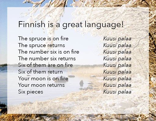 Finnish language