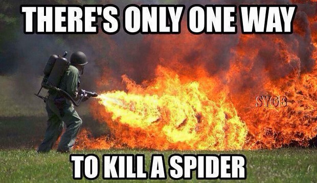 To kill a spider