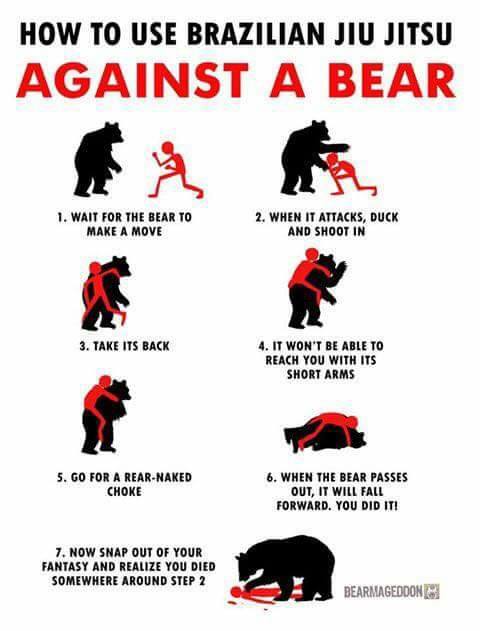 Hand to hand tactics against a Bear.