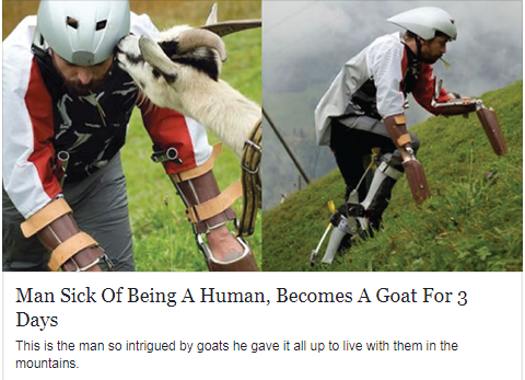 You've goat to be kidding me.
