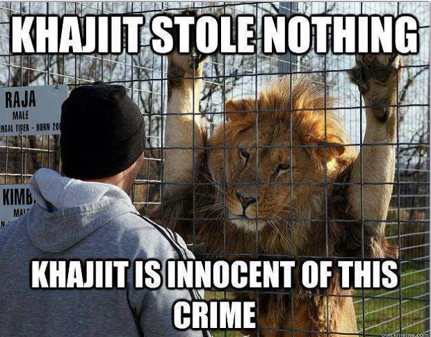 Khajiit is Innocent