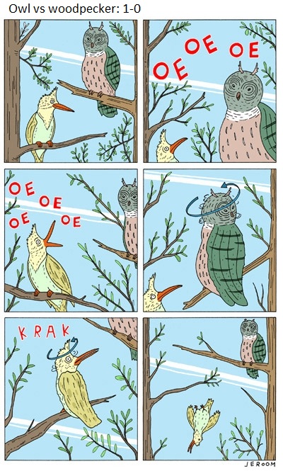Owl vs Woodpecker