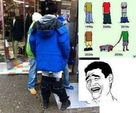 evolution of pants
