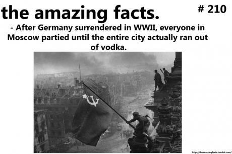 History Fun Fact