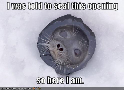 Seal the hole