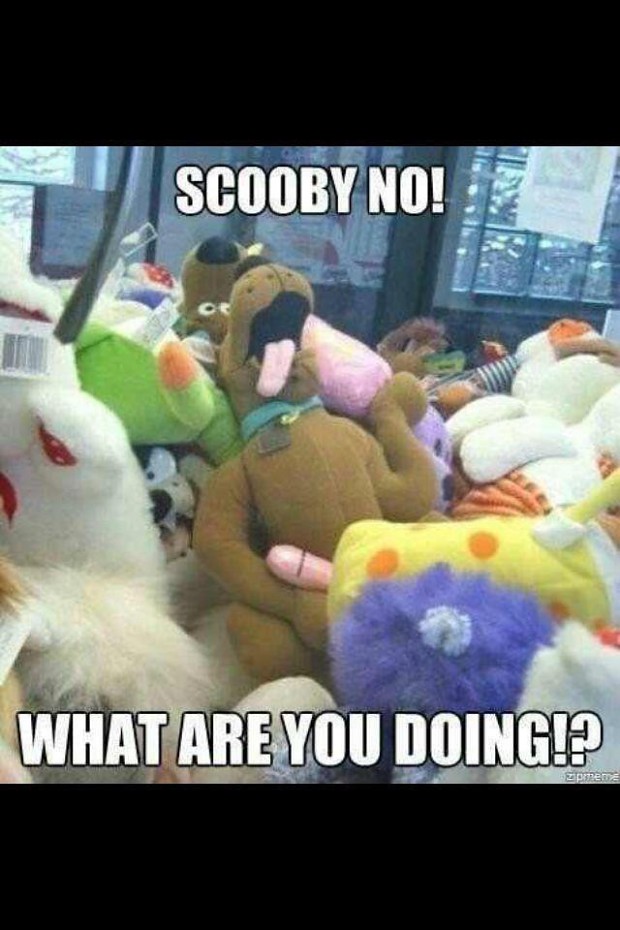 Scooby, no!
