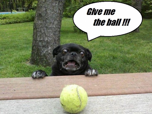 Give me the ball O.O