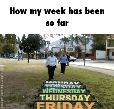 6e1af12e4e7f890131ae8740e52f8536840ff02fd281b12ad95854f8e05e9462_1.gif