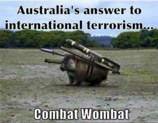 Immortal Combat Wombat