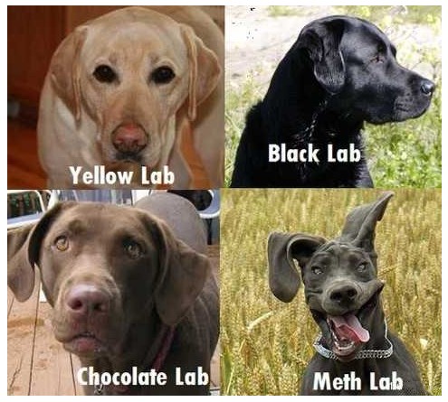 Diffrent kind of labs