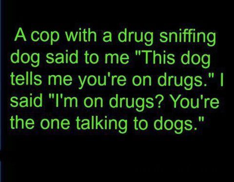 dogs and drugs