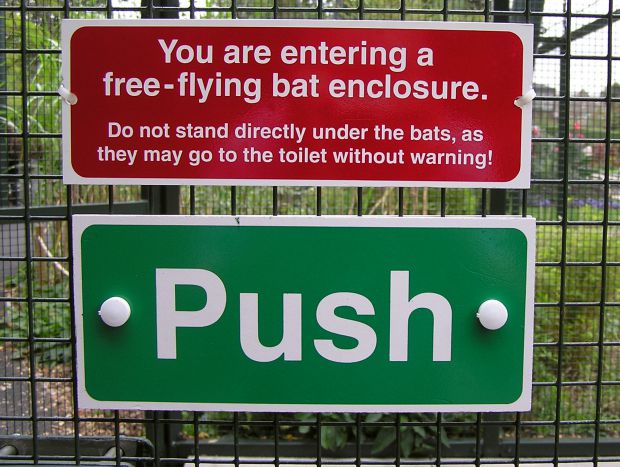 You're entering a free-flying bat enclosure.