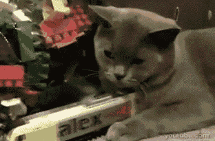 A gif documenting how motivated I am in life