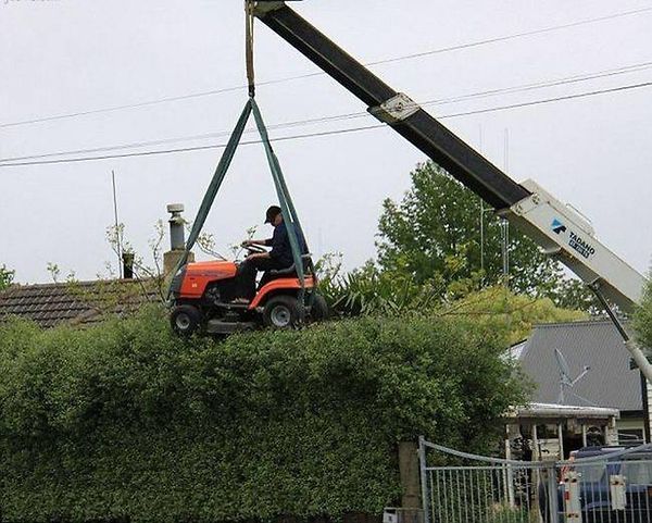Mowing the hedge